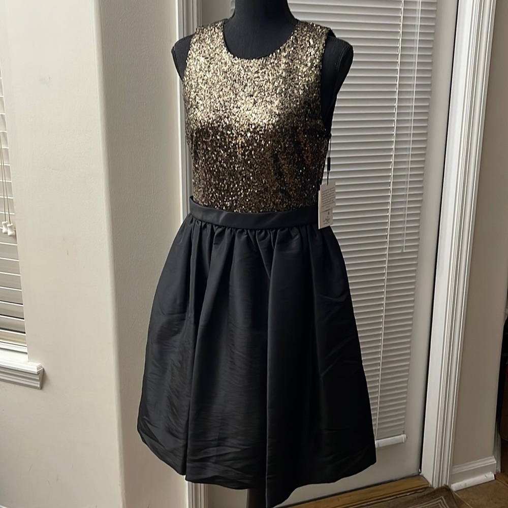Calvin Klein Jewel Neck Sleeveless Sequined Bodice and Black Taffeta Skirt Dress